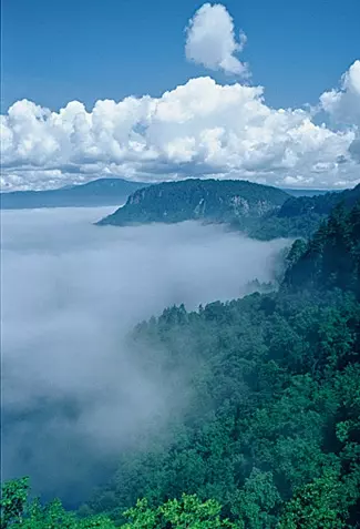 青森県 もう一度行きたい 人気温泉地ランキングベスト5 ローリエプレス