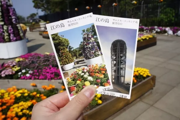 江の島ドライブデートのモデルコースはこれ 海とグルメを満喫 ローリエプレス