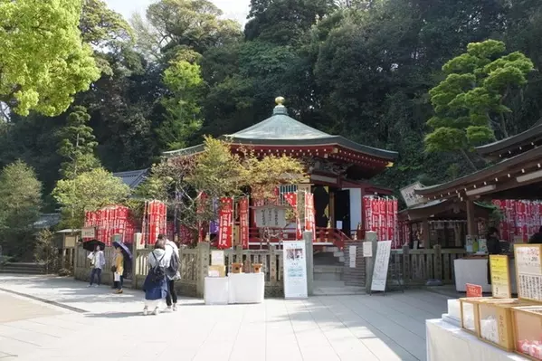 江の島ドライブデートのモデルコースはこれ 海とグルメを満喫 ローリエプレス