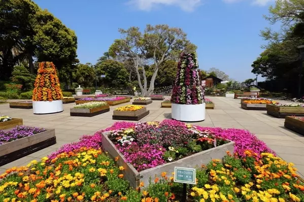 江の島ドライブデートのモデルコースはこれ 海とグルメを満喫 ローリエプレス