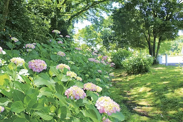 6月7月見頃の 花絶景 12選 デートにもおすすめ 東海近郊 ローリエプレス