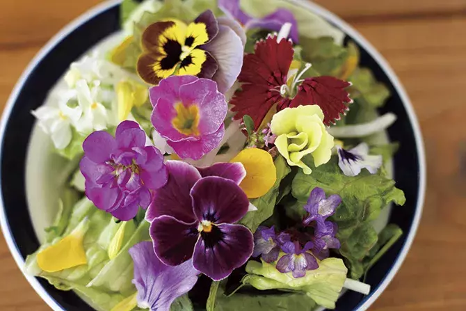 19 インスタ映えグルメ10選 東海 フォトジェニックな花パフェも ローリエプレス 19 インスタ映えグルメ10選 東海 フォトジェニックな花パフェも ローリエプレス