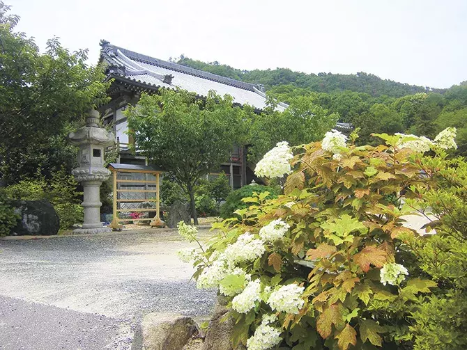 絶景 あじさい名所7選 インスタ映えのあじさい寺や見頃情報も 中国 四国 ローリエプレス