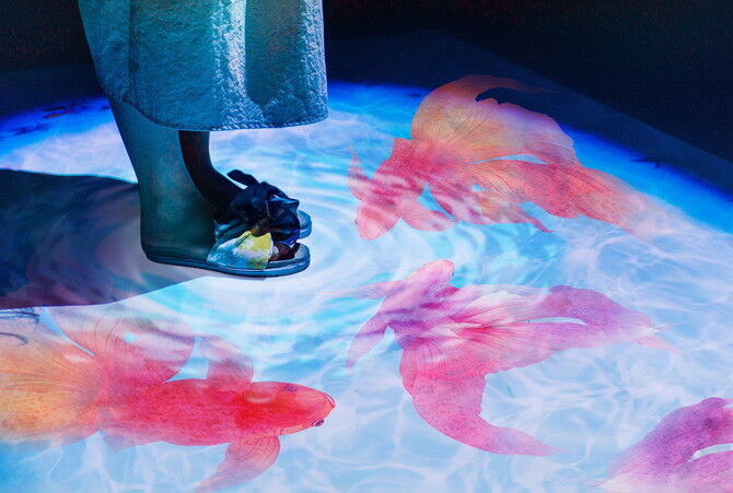 レトロでかわいい♪「東京金魚ワンダーランド2019」がすみだ水族館で開催【東京】の4枚目の画像