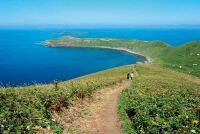 【利尻島・礼文島】最北部の島で絶景を巡る旅をしよう！どっちも行くおすすめ観光プランも