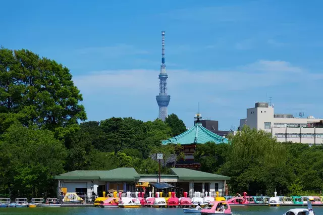 デートで上野に行くなら カップルでのんびりできる公園や美術館 カフェなど13選 ローリエプレス