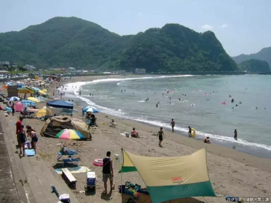 静岡 海水浴場 ビーチおすすめ40選 夏のレジャーで行くならココ ローリエプレス