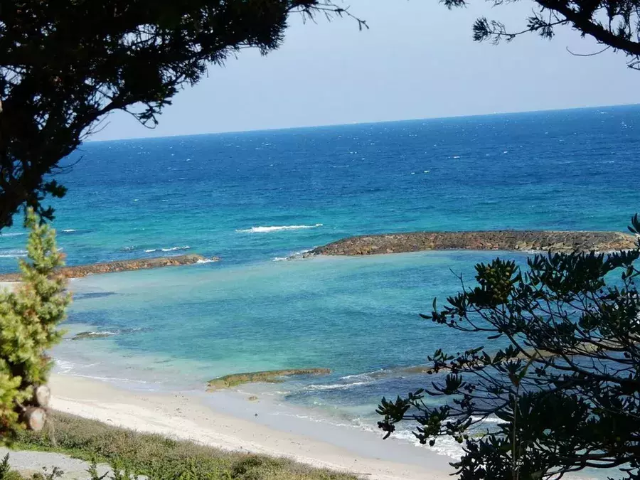 静岡 海水浴場 ビーチおすすめ40選 夏のレジャーで行くならココ ローリエプレス