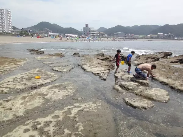 千葉 海水浴場 ビーチおすすめ35選 夏のレジャーで行くならココ ローリエプレス