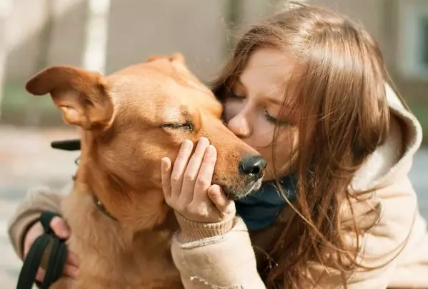 感受性豊かな人の６個の特徴 あなたはいくつ当てはまる ローリエプレス