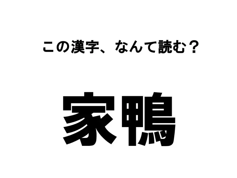 読めたらすごい 動物漢字クイズ この漢字 なんて読む ローリエプレス