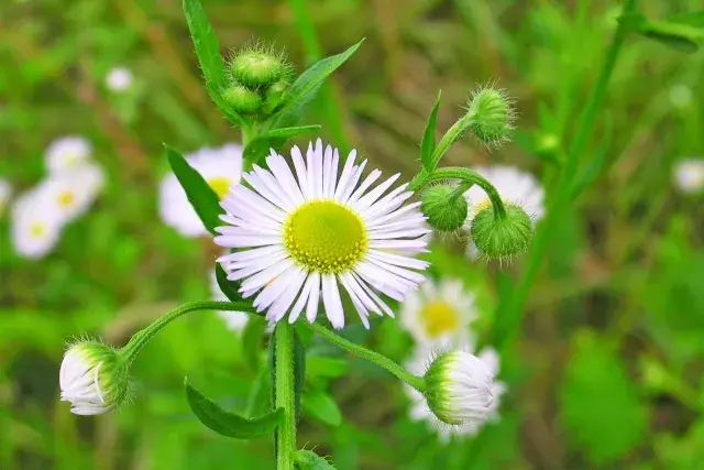 読めたら博識 春にまつわる漢字クイズ この漢字 なんて読む ローリエプレス 読めたら博識 春にまつわる漢字クイズ この漢字 なんて読む ローリエプレス