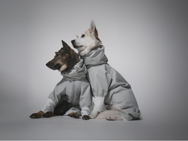 ピースワンコ・ジャパン×ペットブランド STANDING ON THE BLUEの初コラボ。保護犬も幸せに！チャリティ「レインスーツ」を5月24日(金)から発売開始の3枚目の画像