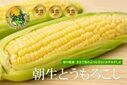 野菜ソムリエが選んだトウモロコシ『朝生とうもろこし/備中農園』のジェラートが新登場！