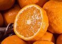 古くて新しい。希少品種の柑橘「農６ のうろく」を豊洲市場ドットコムでお取り寄せ！今シーズンの出荷が始まります