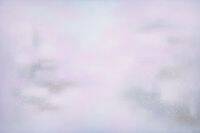 【日本橋高島屋】「王舒野（ワンシュウイエ）展 -「桜」 見る前に -」美術画廊Ｘにて開催