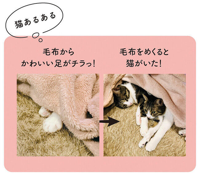 毛布をめくると猫が！ キュンとする瞬間の猫あるあるを再現した、「チラっとめくると猫がいる 毛布で眠る猫ハンカチ」が、フェリシモ「猫部(TM)」から新登場の3枚目の画像
