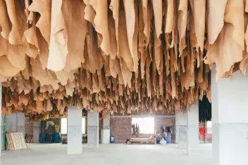 22年母の日 枯れない革の花を贈ろう ｊｏｇｇｏ 革の一輪花と ｈａｒｉｏ アロマディフューザーのコラボ商品 4月13日から販売開始 ローリエプレス