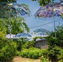 フェリシモ「紫陽花傘」のアンブレラスカイが石川県「倶利迦羅不動寺」で開催（6月16日～7月7日まで）