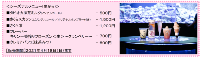 マクセル アクアパーク品川　３６０度デジタルアートの花びらにつつまれる、“桜の海”へ　ドルフィンパフォーマンス(ナイトｖｅｒ．)「桜語り」　２０２１年４月１８日（日）までの6枚目の画像