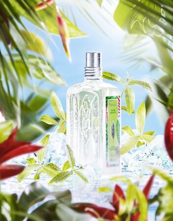 ロクシタントラックが運ぶひんやりパラダイス！冷たいフットバスで楽園気分！VERBENA PARADISE by L’OCCITANEの3枚目の画像