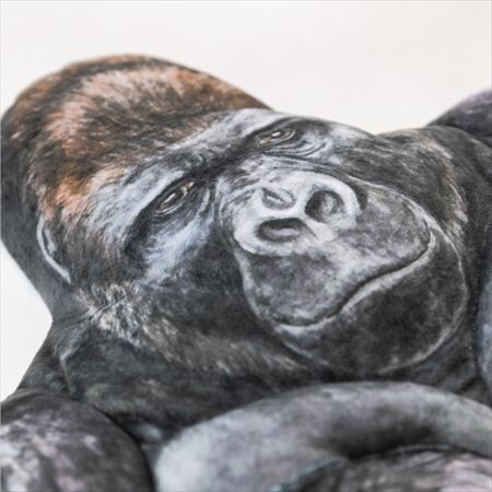 強さとやさしさをあわせ持つ「ニシゴリラ　シャバーニのたくましい腕枕クッション」がフェリシモ『YOU+MORE!』から誕生の7枚目の画像