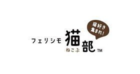 段ボール箱から前足を出した猫がかわいい、「遊んでいただけるんですか！？ 猫のメッセージメモ」が『フェリシモ猫部(TM)』から新登場の20枚目の画像