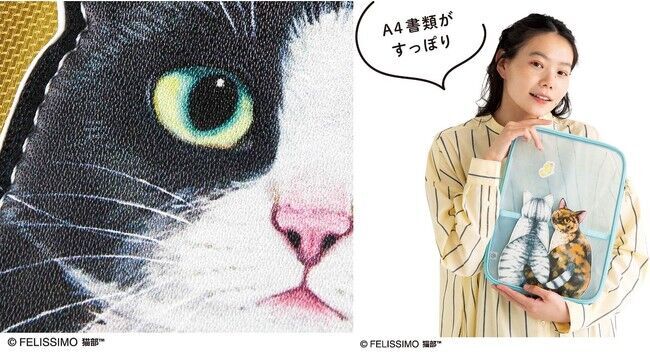 窓を開けて網戸にすると外を眺めに猫が集まる“猫あるある”シーンを再現したメッシュファイルポーチが「フェリシモ猫部(TM)」から新登場の8枚目の画像