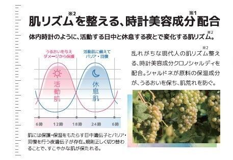 肌リズム※2に着目した新発想のスキンケアブランド「RISM(リズム)」より、肌悩みに合わせて選べるトライアルセットが数量限定で登場の4枚目の画像