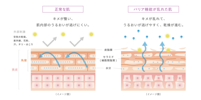 新スキンケアブランド 「ナチュラブルプラス」 から日本初！泡で出てくるヘパリン類似物質0.3%配合OTC医薬品※の2枚目の画像