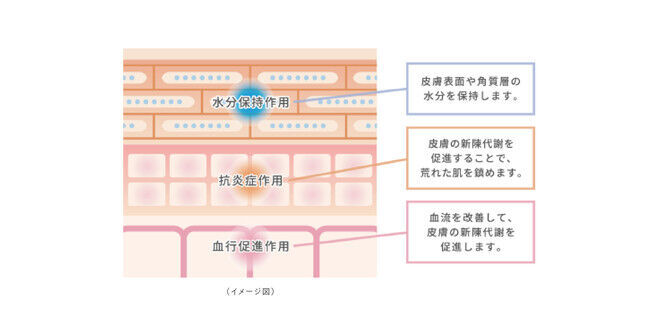 新スキンケアブランド 「ナチュラブルプラス」 から日本初！泡で出てくるヘパリン類似物質0.3%配合OTC医薬品※の3枚目の画像