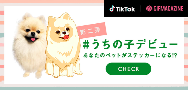 GIFMAGAZINEがTikTokとコラボ！大人気の「＃うちの子デビュー」チャレンジ、第2弾が11月21日からスタート！優秀投稿者にはアプリ内で使用できるペットのGIFステッカーをプレゼント！の1枚目の画像