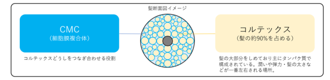 国内トップヘアサロン「air」との共同開発！ サロン発想のホームケア「FUN AZUM（ファンアズム）」を発売！の5枚目の画像