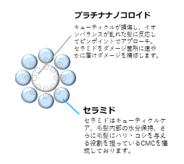 国内トップヘアサロン「air」との共同開発！ サロン発想のホームケア「FUN AZUM（ファンアズム）」を発売！の4枚目の画像