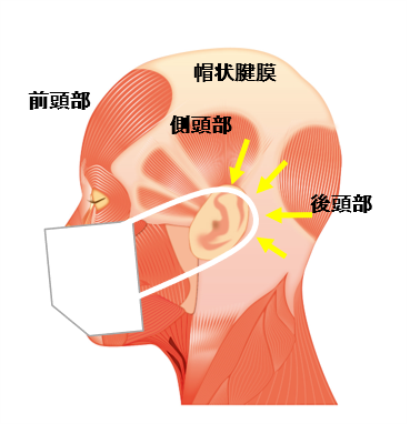 ほぐし（※１）、促す（※２）、頭皮から顔の引締めと髪育。2021年１月20日開始　「頭・筋膜リリースリフト」開始のお知らせの1枚目の画像