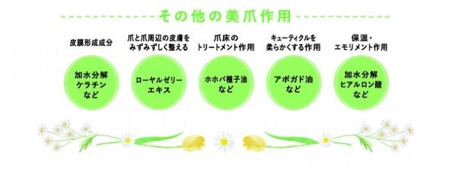 日本初！スズメバチのクリーム誕生！割れ爪、二枚爪などのダメージに爪の補修＆強化クリーム「スパネイル ネイルクリーム」新発売！の3枚目の画像