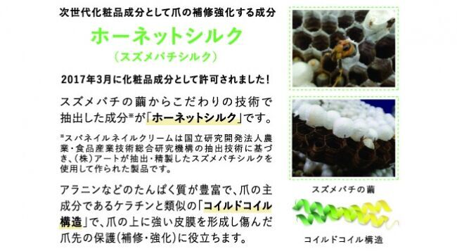 日本初！スズメバチのクリーム誕生！割れ爪、二枚爪などのダメージに爪の補修＆強化クリーム「スパネイル ネイルクリーム」新発売！の2枚目の画像