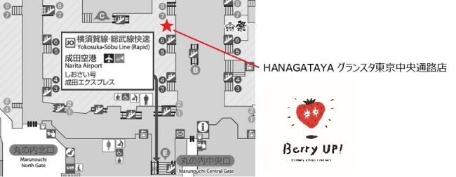 新スイーツブランド「Berry UP！（ベリーアップ）」東京みやげのセレクトショップ「HANAGATAYA」に7月10日(水）グランドオープン！の10枚目の画像