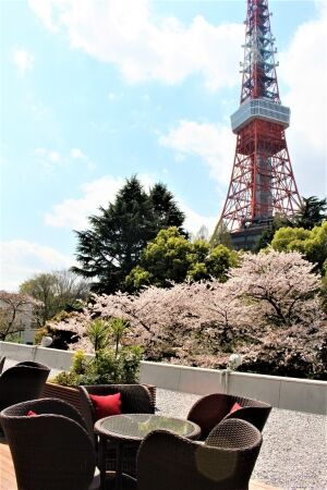 【東京プリンスホテル】桜を眺めながら楽しむ、桜をテーマにしたアフタヌーンティーとハイティーを販売の2枚目の画像