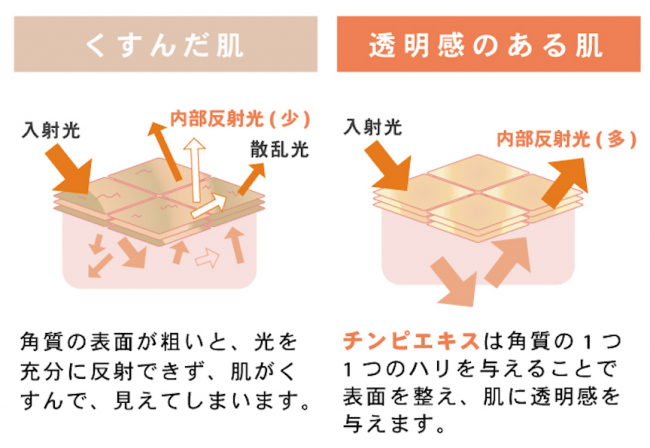 毛穴の黒ずみ※１・古い角質スッキリオフ！『NALC 薬用クレンジングバーム』『NALC ホワイトクレイ酵素配合洗顔フォーム』 4月7日同時発売の5枚目の画像