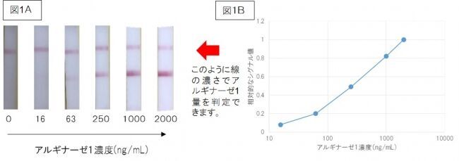 美肌タンパクを迅速に測定できる方法の開発に成功の2枚目の画像