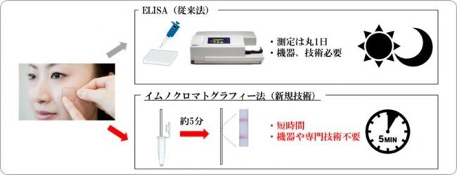 美肌タンパクを迅速に測定できる方法の開発に成功の3枚目の画像