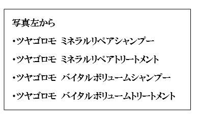 ヘアケアライン「艶衣（ＴＳＵＹＡ　ＧＯＲＯＭＯ）」を3月18日から新発売の2枚目の画像