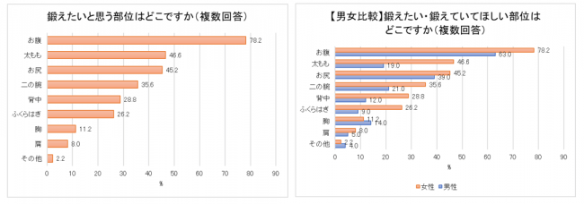 【働く女性のトレーニング事情を調査】働く女性の36.6%がトレーニングをしている！ジム入会率、プロテインの摂取、鍛えたい/鍛えて欲しい部位など。告白された人数が多い人の方が、トレーニングしている傾向の5枚目の画像