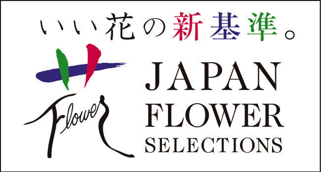 ダリアの華マルシェ*9月25日（金）～27日（日）3日間*の11枚目の画像