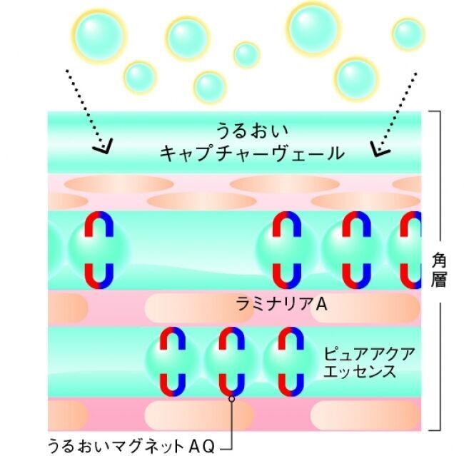 【デザインリニューアル】肌のすみずみ※１まで角層を健やかに整え、乾燥しやすい肌を、うるおいを抱え込み離しにくい肌へと導くスキンケアシリーズ『アクアフォースシリーズ』2020年2月21日（金）発売の3枚目の画像