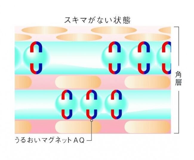 【デザインリニューアル】肌のすみずみ※１まで角層を健やかに整え、乾燥しやすい肌を、うるおいを抱え込み離しにくい肌へと導くスキンケアシリーズ『アクアフォースシリーズ』2020年2月21日（金）発売の2枚目の画像