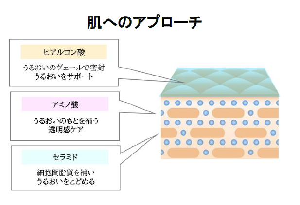 マツキヨココカラ＆カンパニー誕生記念、コーセーとの共同開発PBが登場！マスク生活による「隠れ敏感肌」向け新提案の3枚目の画像