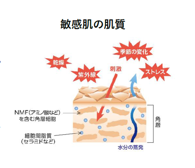 マツキヨココカラ＆カンパニー誕生記念、コーセーとの共同開発PBが登場！マスク生活による「隠れ敏感肌」向け新提案の2枚目の画像