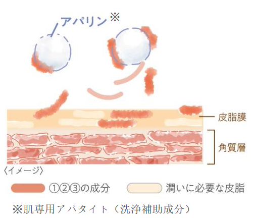 天然のうるおいをサポートするスキンケア お試しセット発売！の4枚目の画像